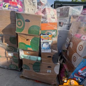 Target general merchandise